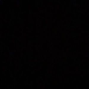 Meet your Posher, Tiera